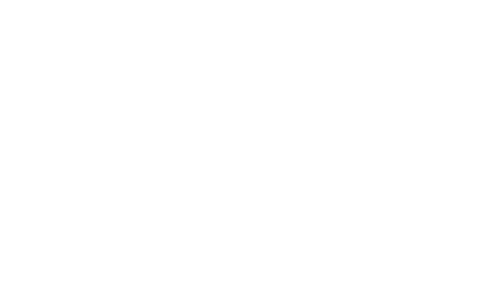 Fiesta Mexicana